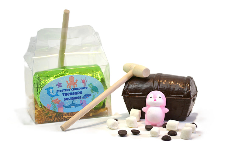 Mystery Chocolate Treasure Squishies