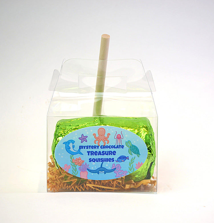 Mystery Chocolate Treasure Squishies